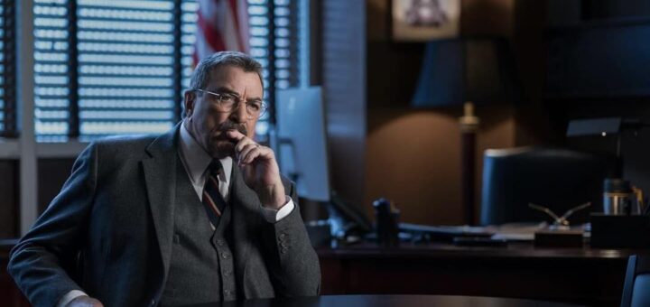 “Unanswered Questions After the ‘Blue Bloods’ Season 14 Finale: Danny, Baez, and More”