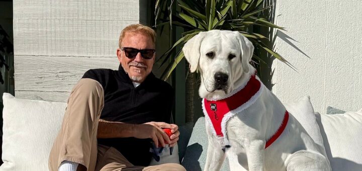 Labrador Bobby, Kevin Costner’s Dog, Makes Modeling Debut Labrador Bobby, Kevin Costner’s Dog, Makes Modeling Debut